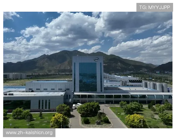 深入探讨尊龙凯时集团在全球市场上的竞争优势